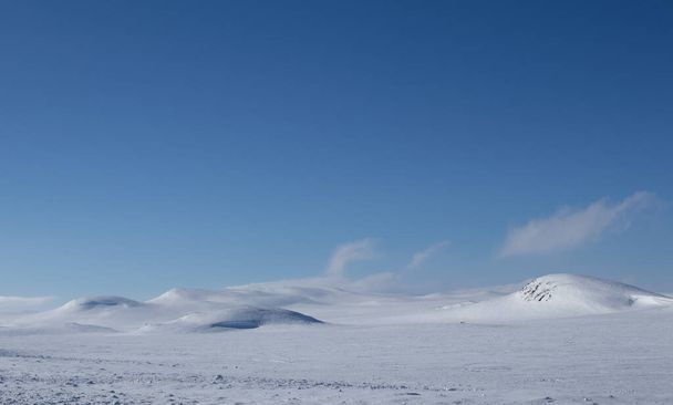 prachtig winterlandschap met sneeuw - Foto, afbeelding