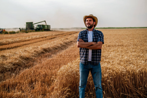 Portrait of farmer while harvesting is taking place. - Photo, Image