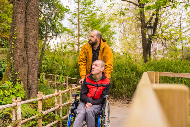 Paralyzed young man in the wheelchair being pushed by a friend in a public city park, looking at the landscape - Foto, Bild