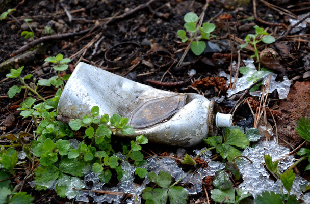 discarded waste in the forest lies in the bushes for many years. spray can still filled with freon gases. stroller wheels, home for the homeless. costly disposal of illegal municipal landfills - Photo, Image
