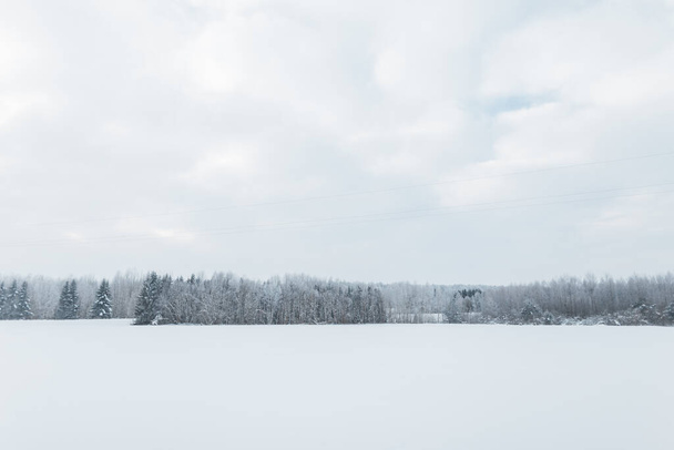 Úžasný zimní pohled se sněhem a lesem - Fotografie, Obrázek