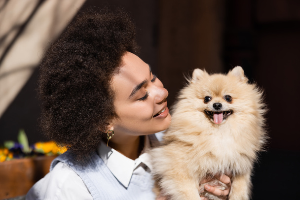 cheerful african american woman looking at pomeranian spitz  - Photo, Image