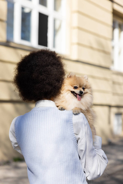 back view of curly african american woman in vest holding pomeranian dog - Foto, immagini