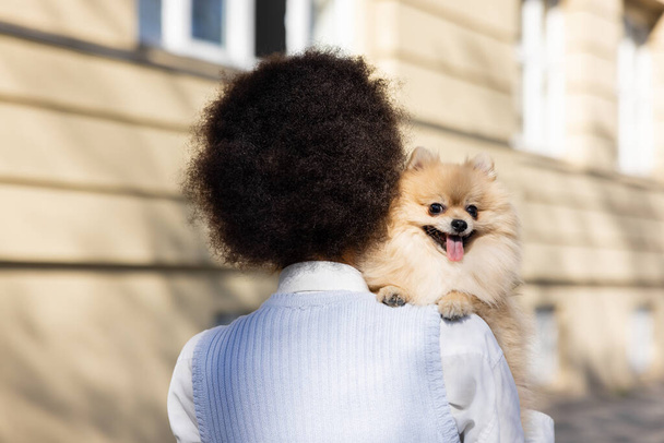 espalda vista de rizado africano americano mujer holding pomeranian perro - Foto, Imagen