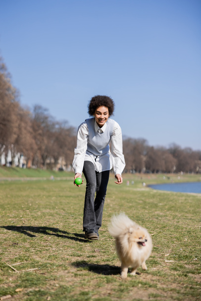 full length of cheerful african american woman in blue vest playing with pomeranian dog in park - Photo, image