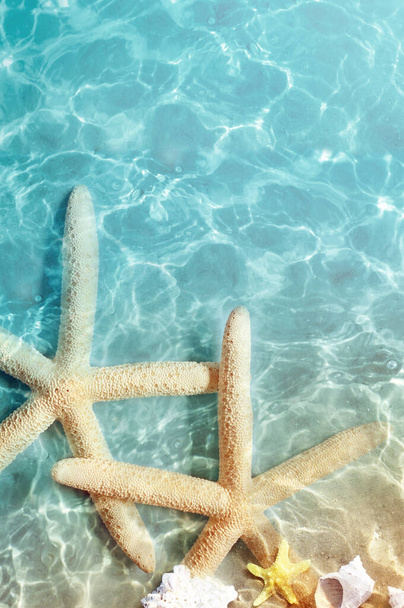 Estrella de mar en la playa de verano en agua de mar. Fondo de verano. Hora de verano. - Foto, imagen
