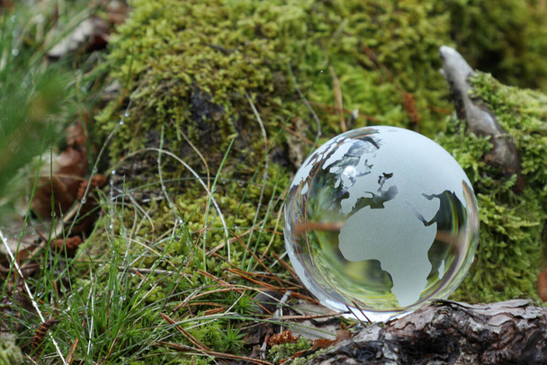 Feliz concepto del día de la Tierra con espacio para el texto, globo en la naturaleza - Foto, Imagen