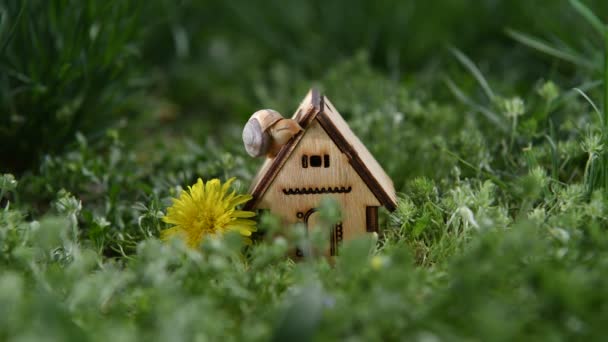 Una lumaca striscia lungo una casa di legno in miniatura in piedi in erba verde - Filmati, video