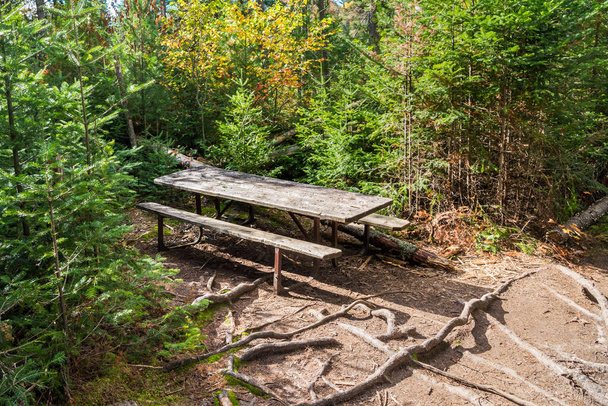 Tavolo da picnic vuoto lungo un sentiero forestale nel parco in una giornata di sole autunnale. Algonquin Provincial Park, ON, Canada. - Foto, immagini