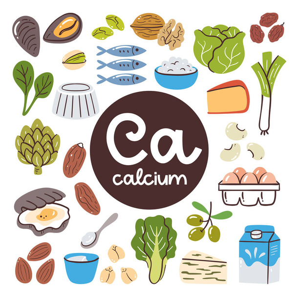 Magas kalciumtartalmú élelmiszerek. Főzés összetevők. Zöldségek, tejtermékek, diófélék, tengeri halak. - Vektor, kép