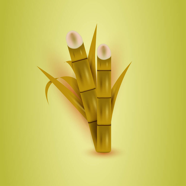 Realistic Sugar Cane Tree. Suitable for posters, banners, covers, and other marketing purposes. - Vector, Image