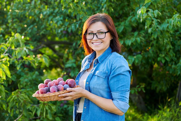 Middle-aged woman with harvest of ripe plums in basket, looking at camera - Foto, imagen