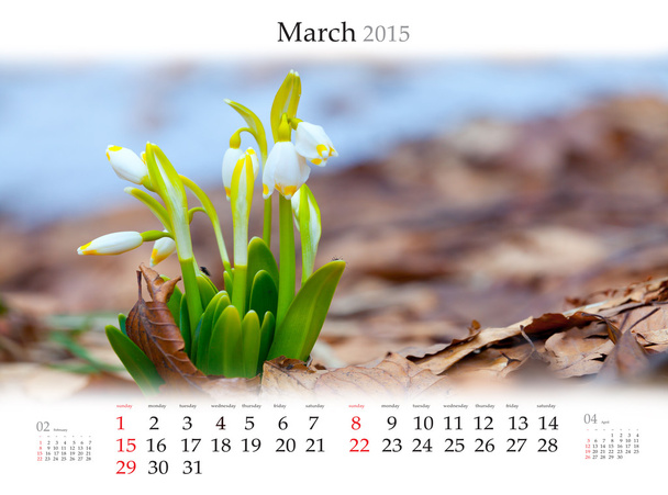Kalender 2015. Maart. - Foto, afbeelding