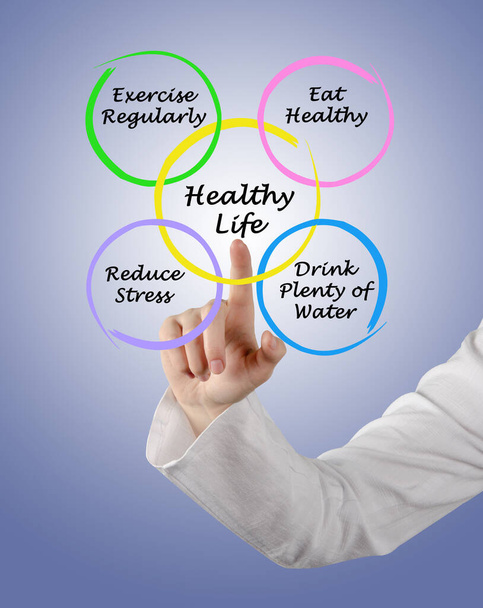 Presentamos el diagrama de la vida saludable - Foto, Imagen