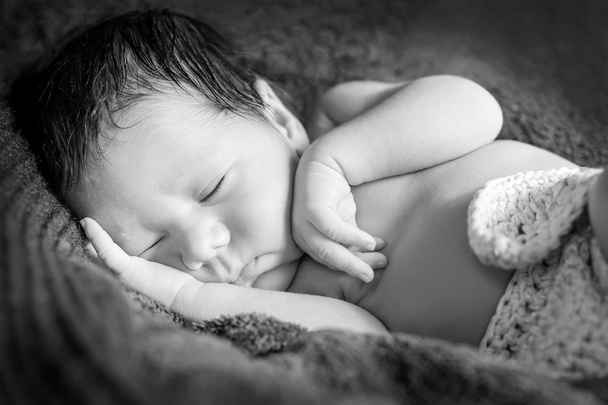 πορτρέτο χαριτωμένος νεογέννητο μωρό στον ύπνο  - Φωτογραφία, εικόνα
