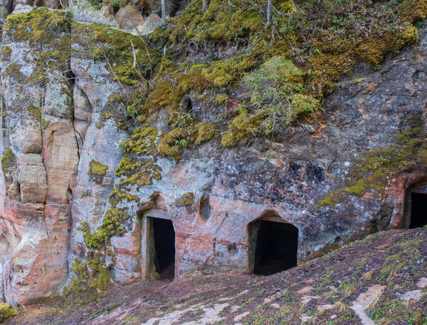 Cantine naturali e grotte nelle rocce rosse, Ligatne, Parco Nazionale di Gauja, Lettonia - Foto, immagini