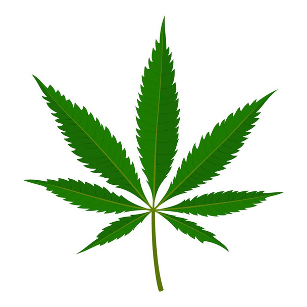 Marihuanablad Geïsoleerd op witte achtergrond. Medicinale cannabisplant, Herbal indica sativa. Natuurlijke hennep. Verslaving rookt wiet drugs Illegaal verdovend middel. Vectorillustratie - Vector, afbeelding