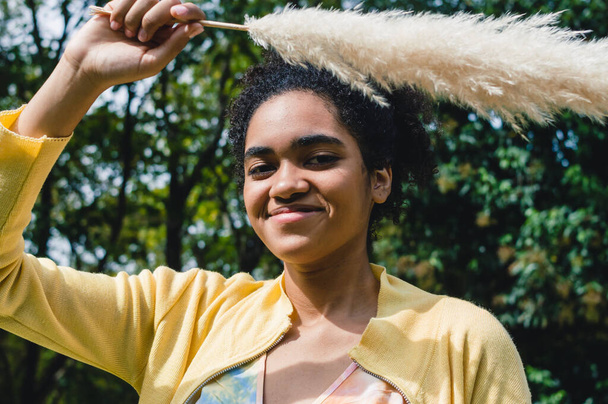 ritratto bella giovane ragazza nera con afro sorridente molto felice in natura tenendo un pampas erba su di lei con la mano e guardando la fotocamera. - Foto, immagini