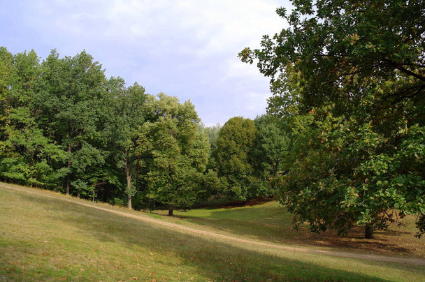 beautiful view of the park - Фото, зображення
