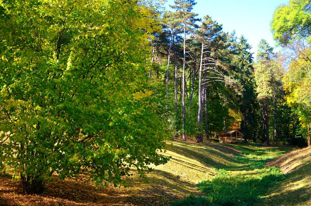beautiful view of the park - Fotoğraf, Görsel