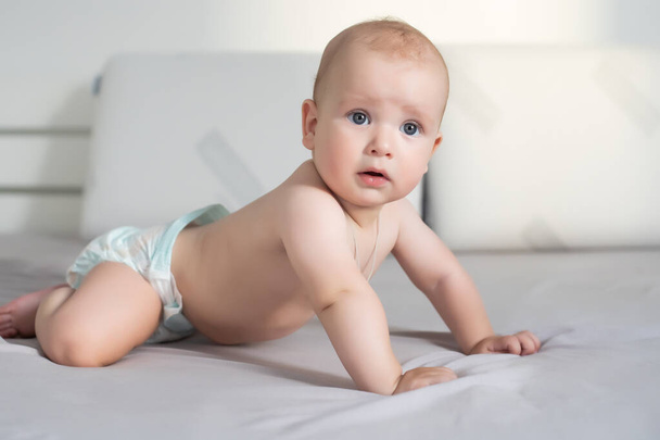 The six-month-old kid. newborn 6 months. - Valokuva, kuva