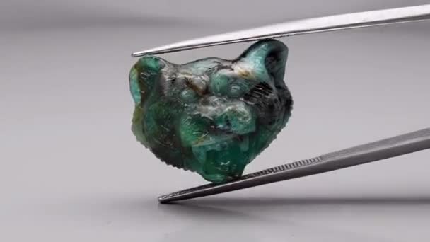 natural green emerald tiger head carving in the tweezers - Footage, Video