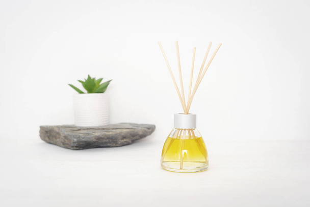 Glass bottle of aroma diffuser on a white background, potted plant on natural stone. Minimal design home interior. Selective focus. - 写真・画像
