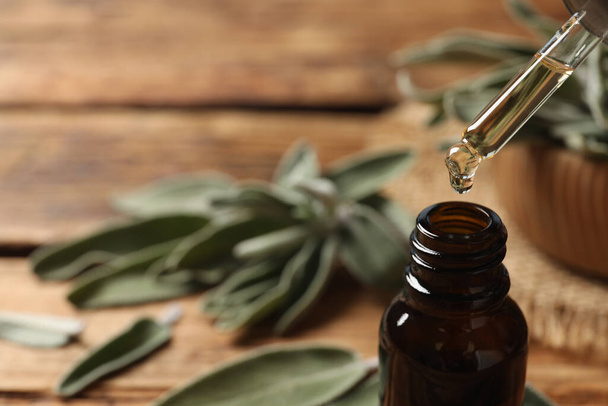 Dropping essential sage oil into bottle on blurred background, closeup. Space for text - Foto, immagini