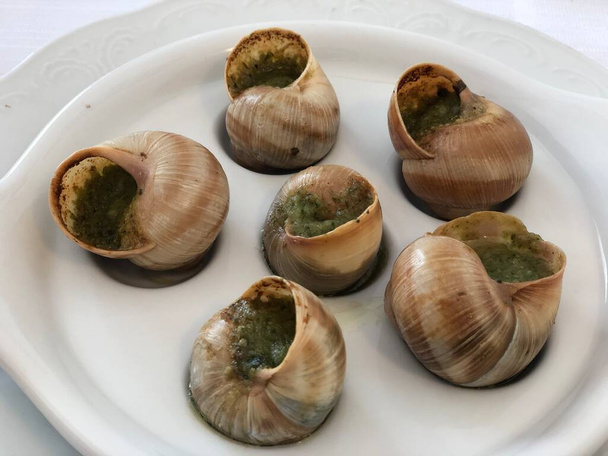 Escargot allá Bourguignonne caracoles cocidos plato italiano y francés  - Foto, Imagen