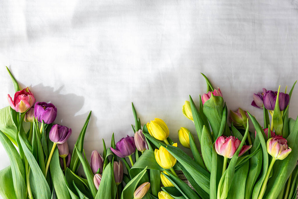 Bukiet tulipanów na białym tle, widok z góry. - Zdjęcie, obraz