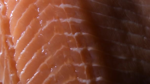 Raw salmon fillet gyrating with intimate light, detail - Footage, Video
