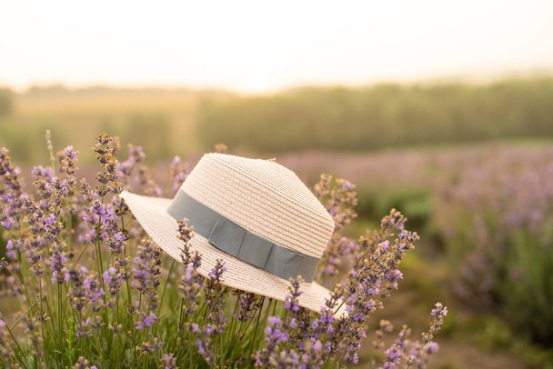 Beautiful image of lavender field Summer sunset landscape - Photo, Image