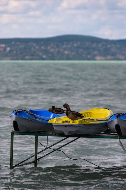 Foto de Pedalos coloridos en el lago Balaton, Siofok, Hungría. Dramático cielo nublado como fondo. Fin de temporada de torneos - Foto, imagen