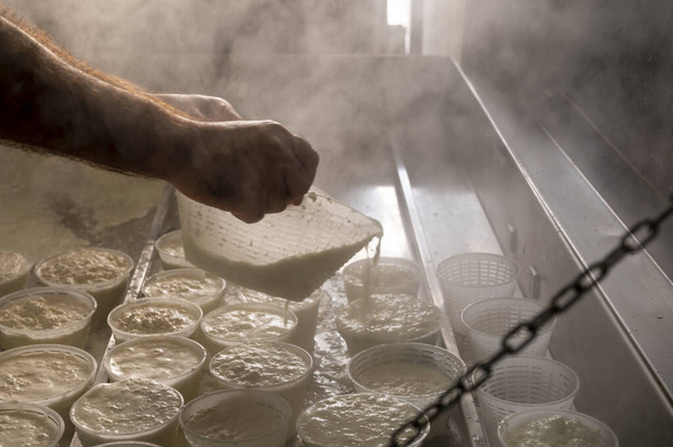 Prozess zur Herstellung von frischem weichem Ricotta-Molke-Käse am frühen Morgen auf einer kleinen Käsefarm in Parma, Italien - Foto, Bild