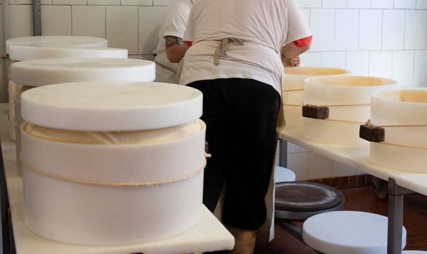Processo tradicional de fabrico a partir de rodas de leite de vaca de queijo parmigiano-reggiano parmesão duro em pequena exploração de queijo em Parma, Reggio-Emilia, Itália - Foto, Imagem