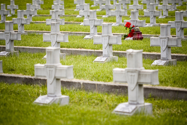 Cruces del cementerio militar
 - Foto, Imagen