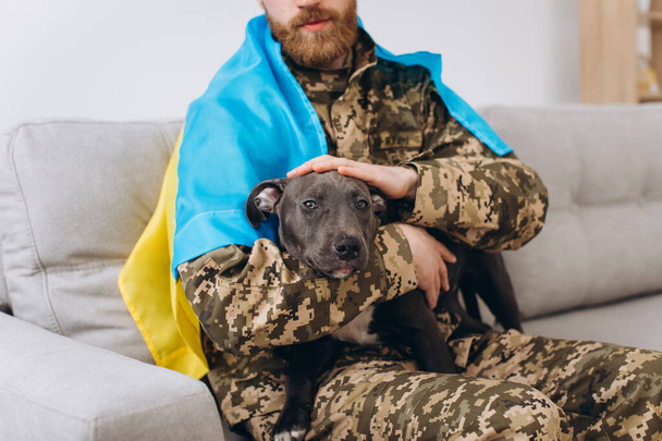 Soldat ukrainien enveloppé dans le drapeau ukrainien tient Amstaff chien dans les bras dans le bureau - Photo, image