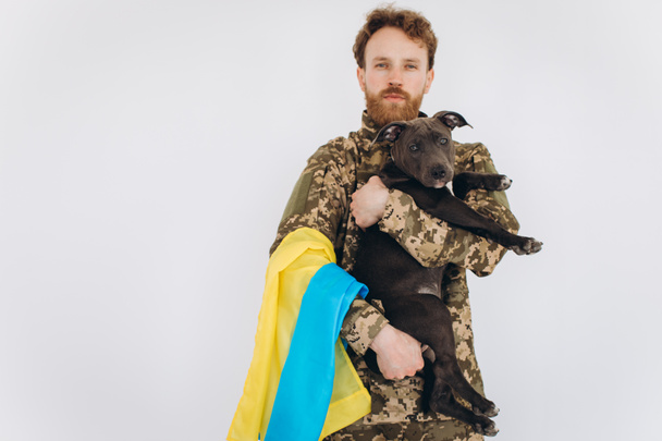 Ukrainian soldier in military uniform with a yellow and blue flag holds a dog in his arms on a white background - Fotó, kép