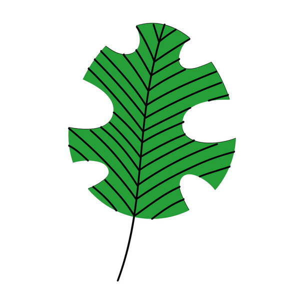 zielony liść tropikalny - Wektor, obraz