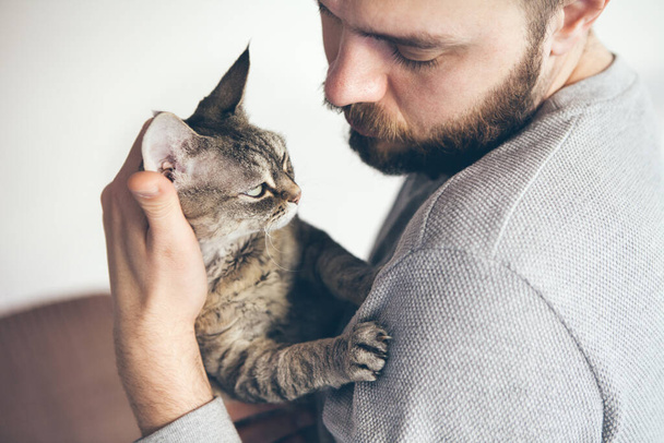 Close-up of a tabby Devon Rex cat and beard man looking to each other. Handsome guy is holding in his arms cute purring kitty and is gently cuddling it. Cat enjoys humans company and attention. - Photo, Image