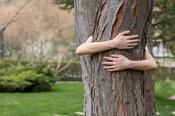 Arms hugging tree trunk. Love for nature and discharging static electricity - Φωτογραφία, εικόνα