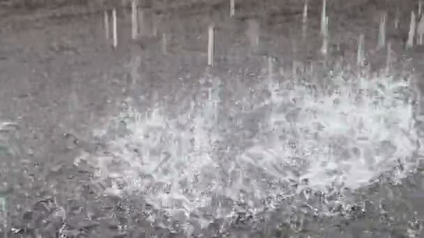 地面には、hd のクリップにさざ波が立つ雨の滴. - 映像、動画