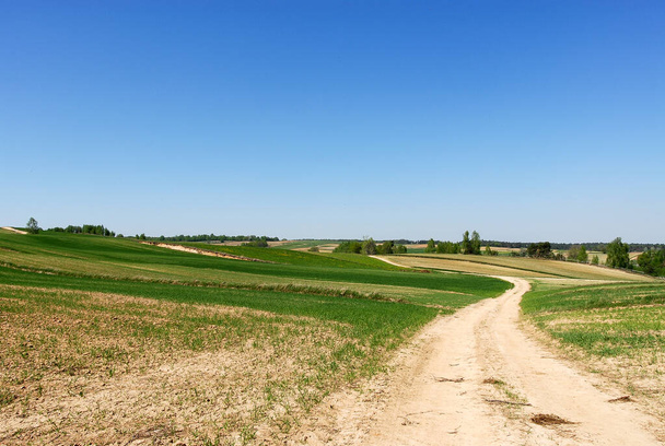 Pellojen välinen päällystämätön tie, maaseutumaisema, Puola - Valokuva, kuva