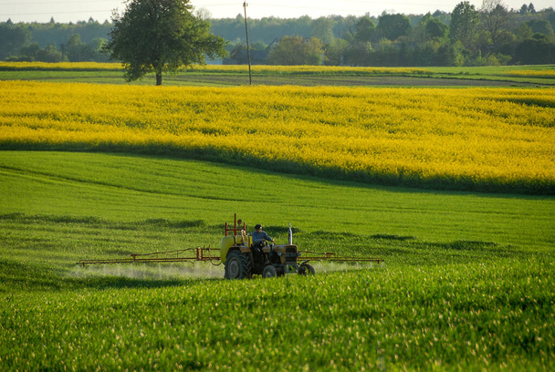 ポーランド- 6月2018:耕地、緑のフィールドに取り組むトラクター - 写真・画像
