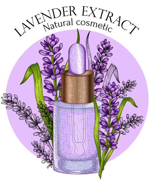  Vector illustration banner template for natural cosmetics with lavender in engraving style. Graphic linear cosmetic jar with pipette, lavender flowers and leaves - Vektor, obrázek