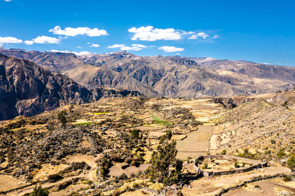 Krajobraz kanionu Colca w Peru - Zdjęcie, obraz