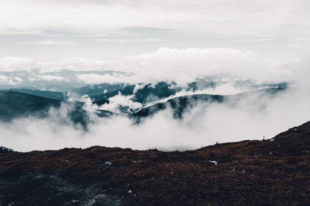 туман в горах небо природа облако лес дерево панорама закат - Фото, изображение