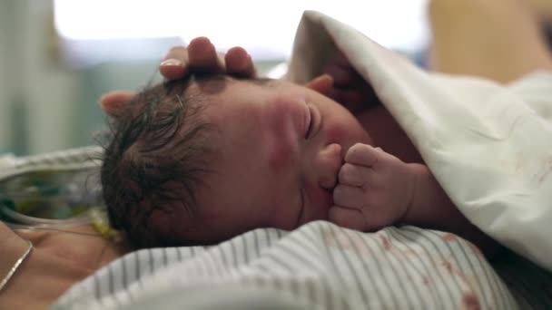 Noworodek leżący na klatce piersiowej matki zaraz po urodzeniu - Materiał filmowy, wideo