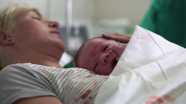 Yeni doğmuş erkek bebek doğumdan hemen sonra annesinin göğsünde yatıyor. - Video, Çekim