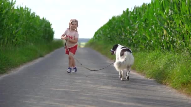 Linda niña preescolar va a dar un paseo con el perro de la familia en la naturaleza. Feliz niño sonriente divirtiéndose con el perro, correr y abrazarse. Familia feliz al aire libre. Amistad y amor entre animales y niños - Metraje, vídeo